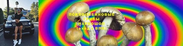 прущая мука Арсеньев
