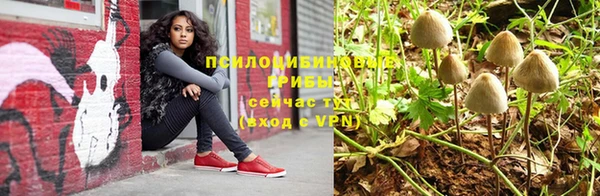 a pvp Алексеевка