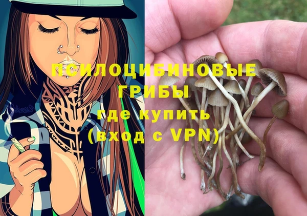a pvp Алексеевка