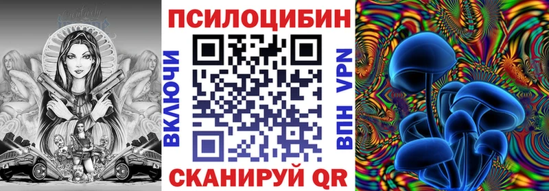 купить наркотик  OMG как зайти  Псилоцибиновые грибы Magic Shrooms  Алейск 